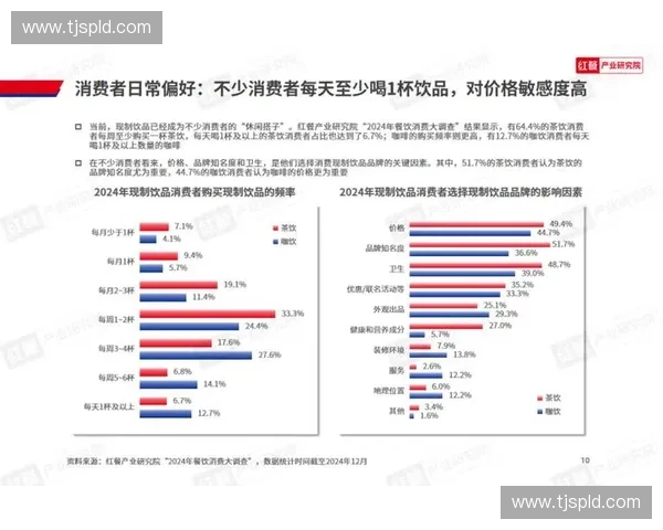 深入解析白俄足球联赛发展现状与未来战略布局及潜力趋势观察新篇